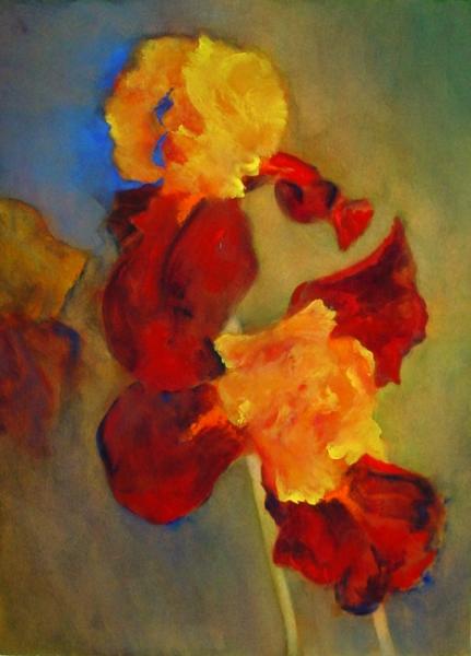 Click here to view Red & Yellow Iris by Calvin deRuyter