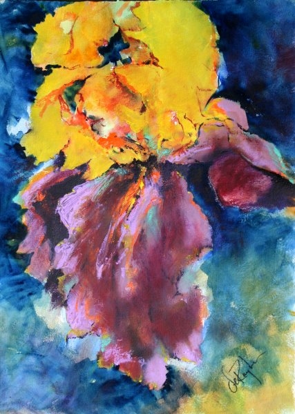 Click here to view Velvet Fall by Calvin deRuyter